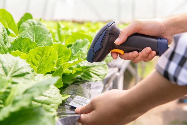 画像:（サンプル）川合　祐二